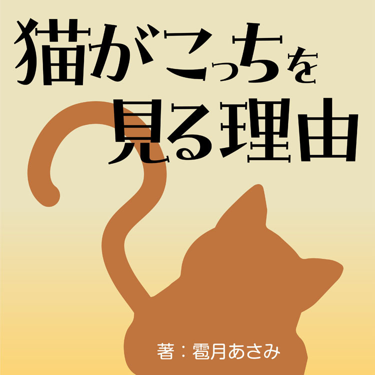 猫がこっちを見る理由