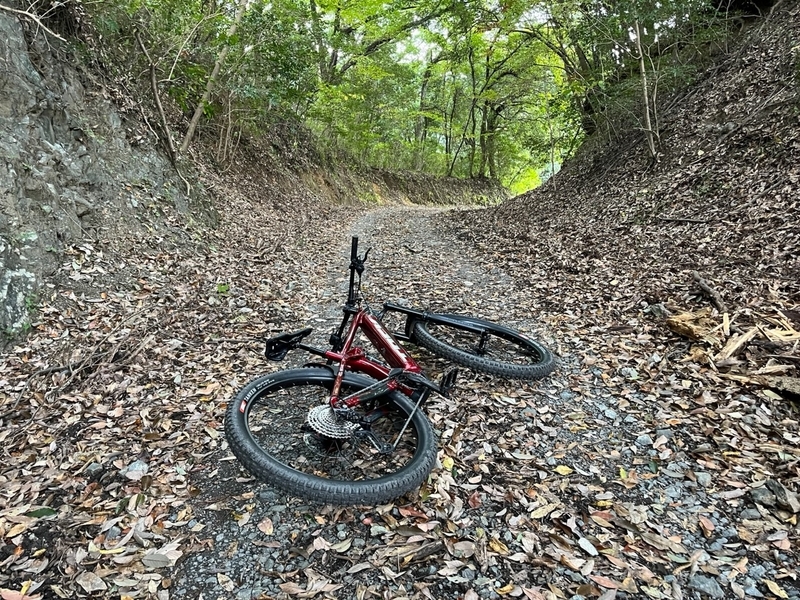 マウンテンバイクで林道探索