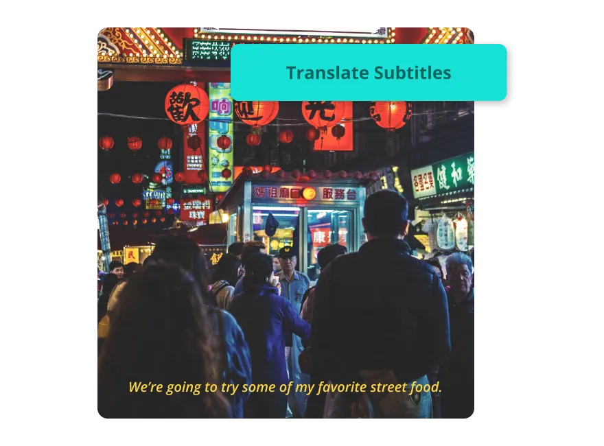 Subtitle Translator Screenshot