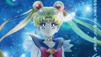 Cover: Der  SailorMoon Fanclub