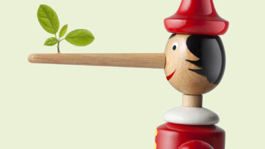 Image of a Pinocchio doll with a long nose and a small green sprig at the end.