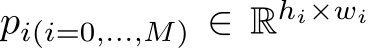 pi(i=0,...,M) ∈ Rhi×wi