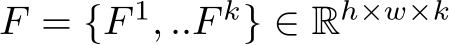  F = {F 1, ..F k} ∈ Rh×w×k