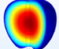 A close-up of the internal temperature distribution in an apple, shown in the Rainbow color table.