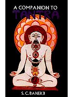 A Companion To Tantra