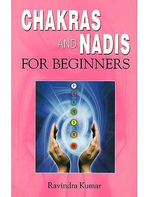 Chakras and Nadis for Beginners