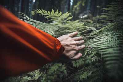 Cropped hand touching plants