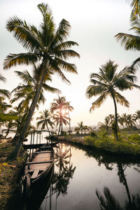 Boat moored in river by palm trees against sky