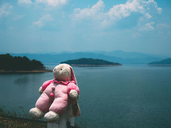 Stuffed toy against lake