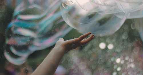 Cropped hand of woman touching aquarium