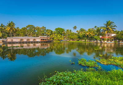 Reflection of palm trees in lake against blue sky