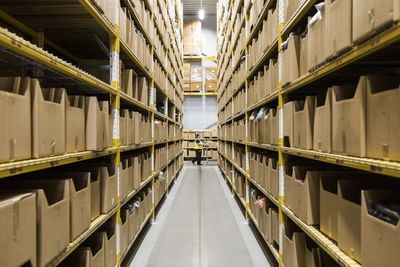 Mid distance of mature female warehouse worker pushing cart seen through narrow aisle in industrial building