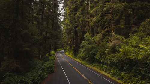 High angle view of mountain road amidst trees in redwood forest california national park 