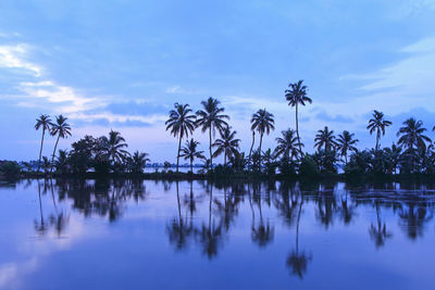 Palm trees by lake against sky