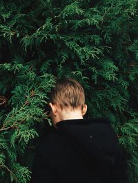 Rear view of boy standing by tree