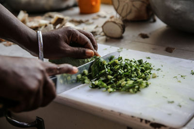 Close-up of hands chopping vegetables