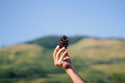 Cropped hand holding butterfly against sky