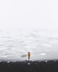 Rear view of woman standing on iceberg in sea against sky