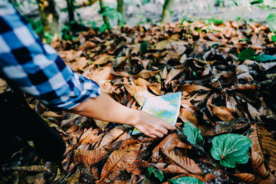 Cropped hand of woman putting map on dry leaves in forest