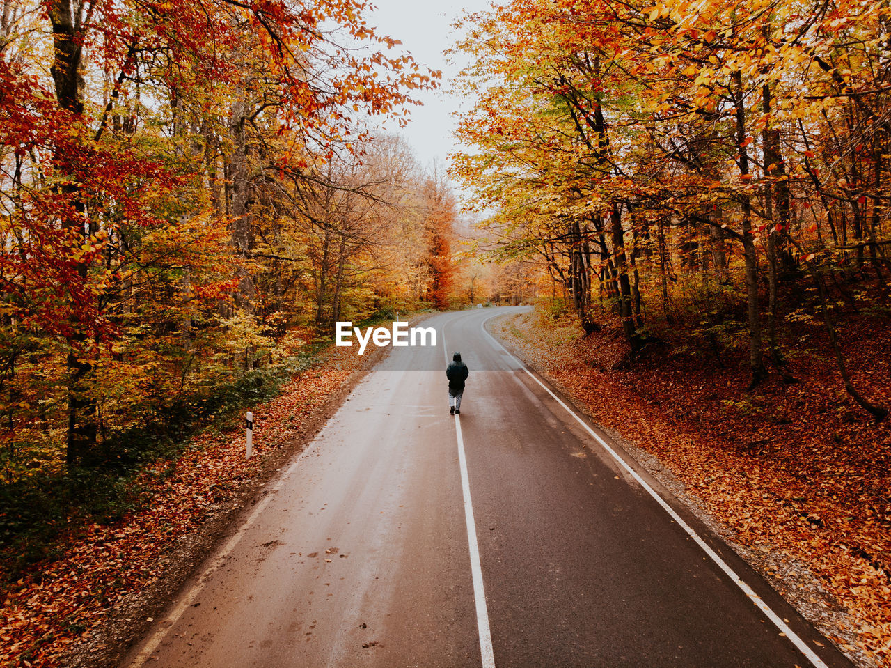 Rear view of man riding motorcycle on road during autumn