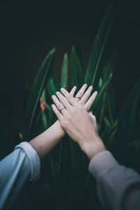 Close-up of two engagement rings