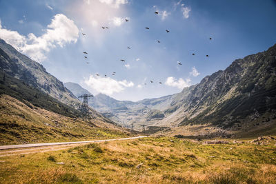 Birds flying over mountains against sky