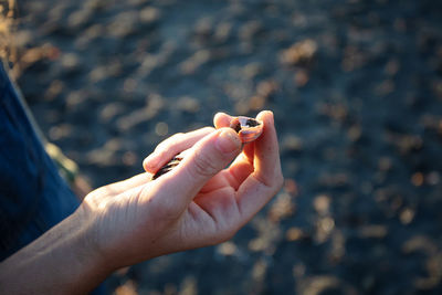 Close-up of woman hand holding a shell