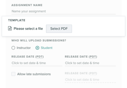 Assignment settings focused on the template setting