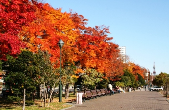 札幌市ウェブサイトより