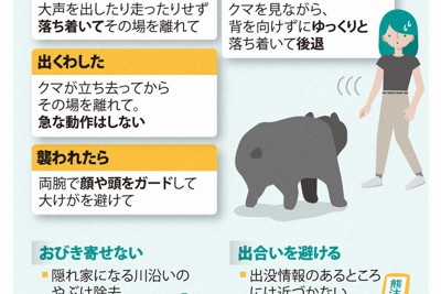 野生生物に襲われないために　クマ編