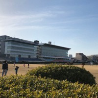 集団接種会場として活用が検討されている浦和競馬場。レースがない日の内馬場は親子連れでにぎわう＝さいたま市南区で2021年2月11日午後3時29分、大平明日香撮影