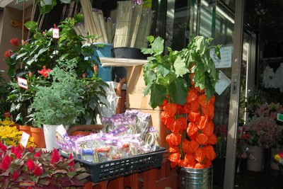 生花店の店先では、お盆を前にホオズキやおがら、牛や馬をかたどった「お供えセット」などが並んでいる＝東京都台東区で2024年7月10日午後3時48分、山崎明子撮影