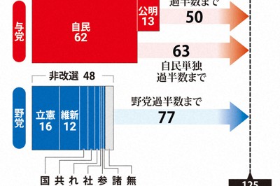 過半数獲得に必要な議席数（定数248）