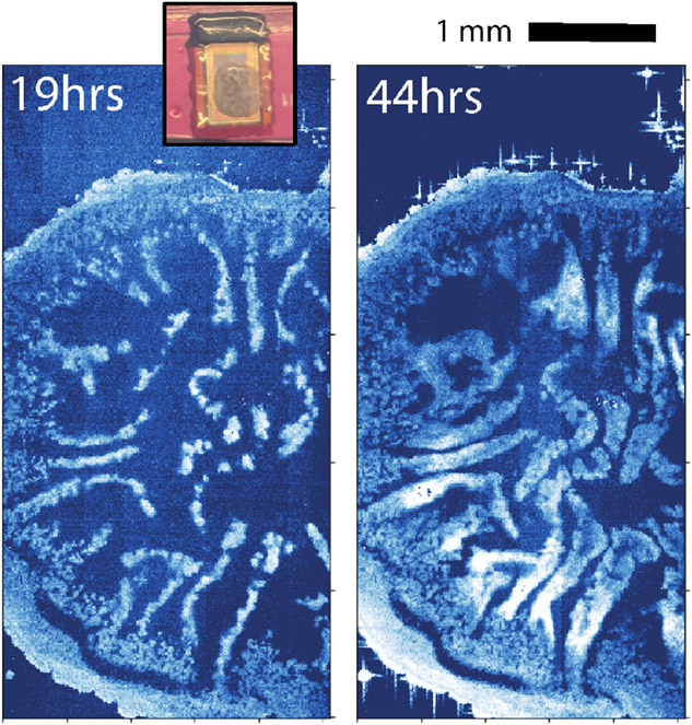 Fig. 3.