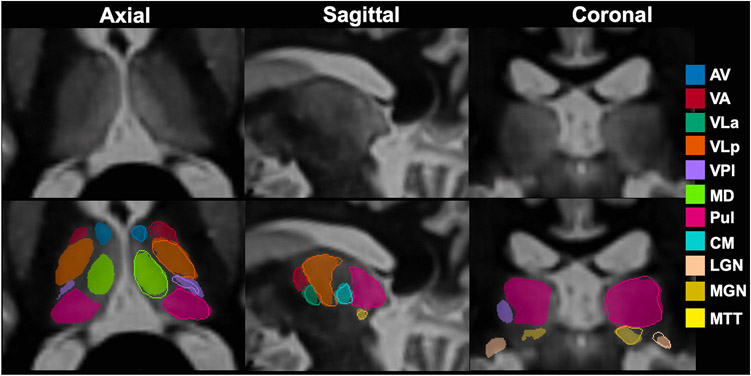 Fig. 5: