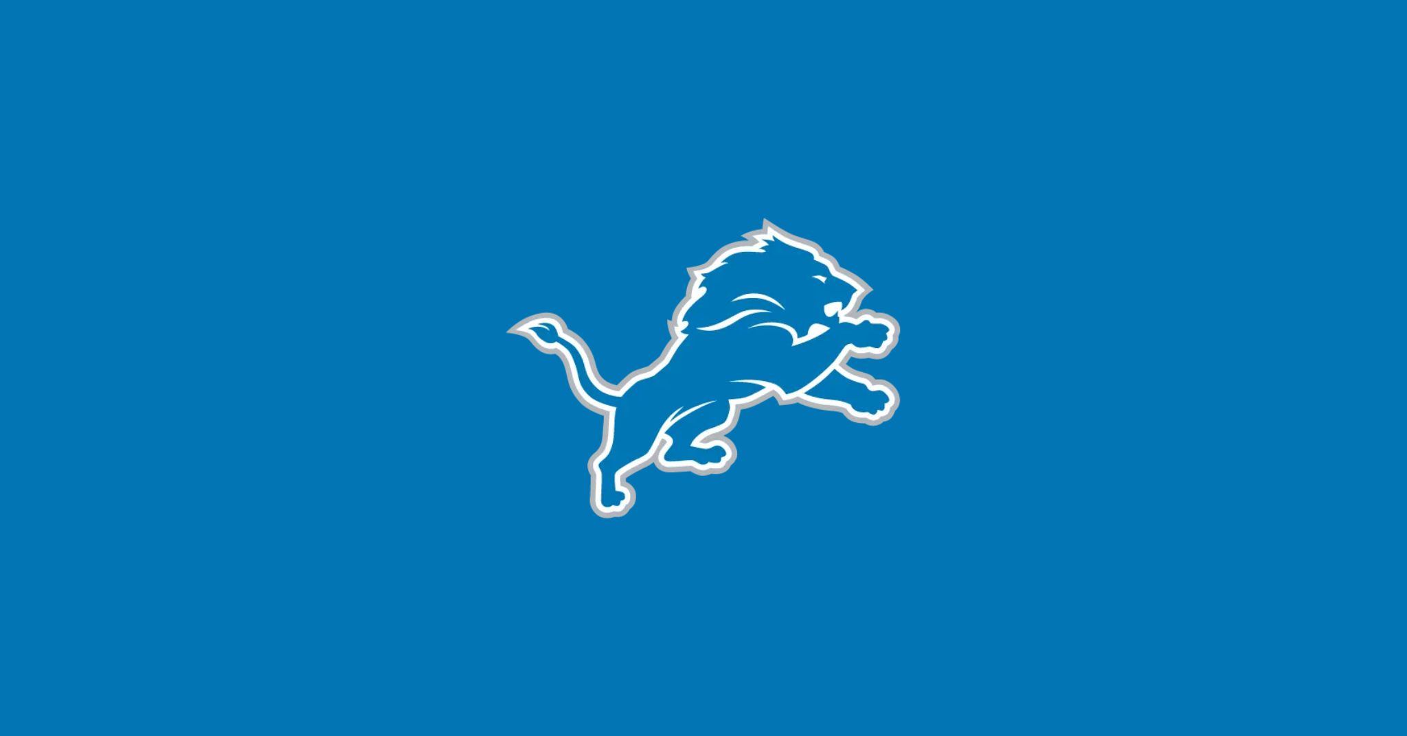 Detroit Lions 