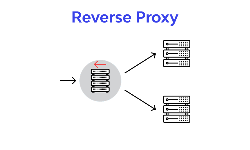 What is a Reverse Proxy?❓