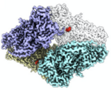 Paper Published: Cryo-EM Ligand Modeling Challenge