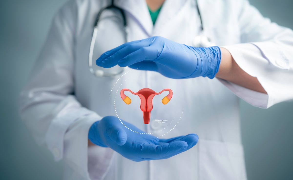 Reproductive health repped by a uterus | Image Credit: © Toowongsa-stock.adobe.com