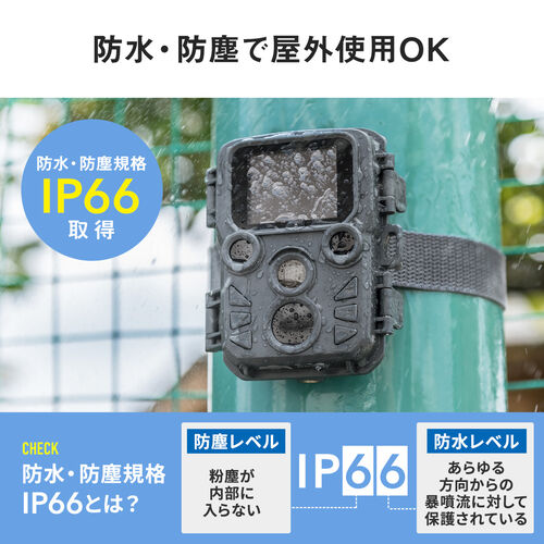 トレイルカメラ 防犯カメラ＋256GB microSDXCカードのセット（400-CAM098+TS256GUSD350V） 402-CAM098SET1