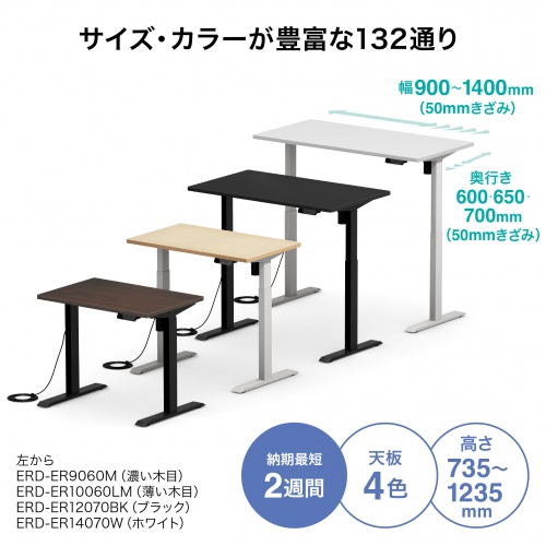 電動昇降デスク 昇降式デスク 昇降デスク パソコンデスク 作業台 e電動昇降デスク 幅100cm 奥行70cm メモリー機能付 ホワイト 【受注生産品】 ERD-ER10070W