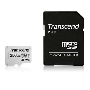 microSD 256GB