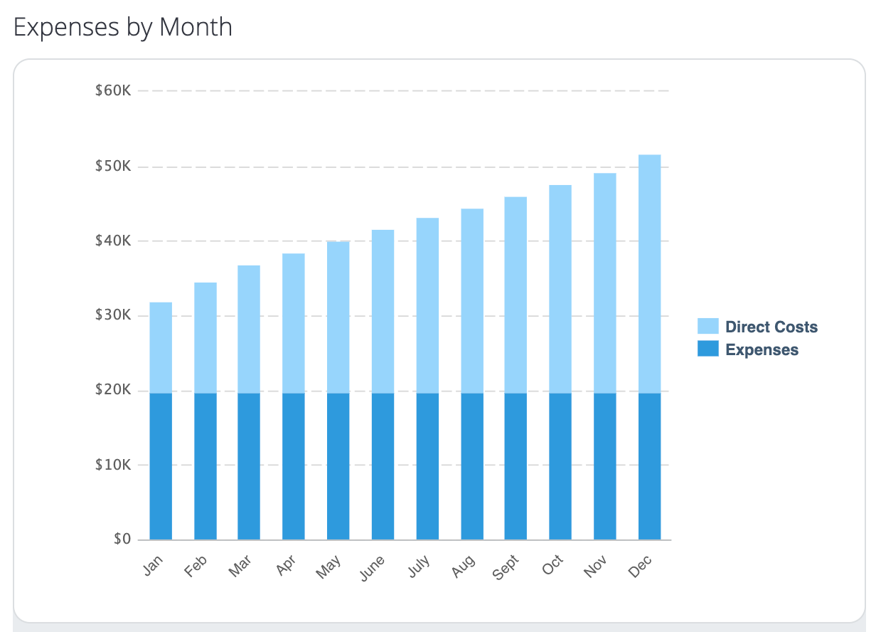 Bar chart illustrating monthly expenses and direct costs for a business from January to December.