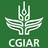 CGIAR