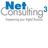 NetConsulting cube