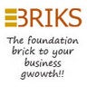 EBriks Infotech Pvt. Ltd.