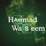 Hammad Waseem