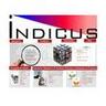 Indicus Analytics Private Limited Profile
