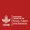 CGIAR Research Program on Roots, Tubers and Bananas