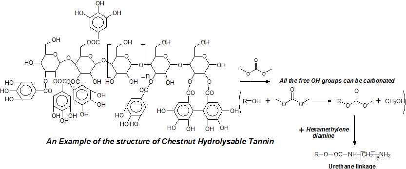 Hydrolysable Chestnut Tannin Extract Chemical Complexity in Its  Reactions for Non-Isocyanate Polyurethanes (NIPU) Foams